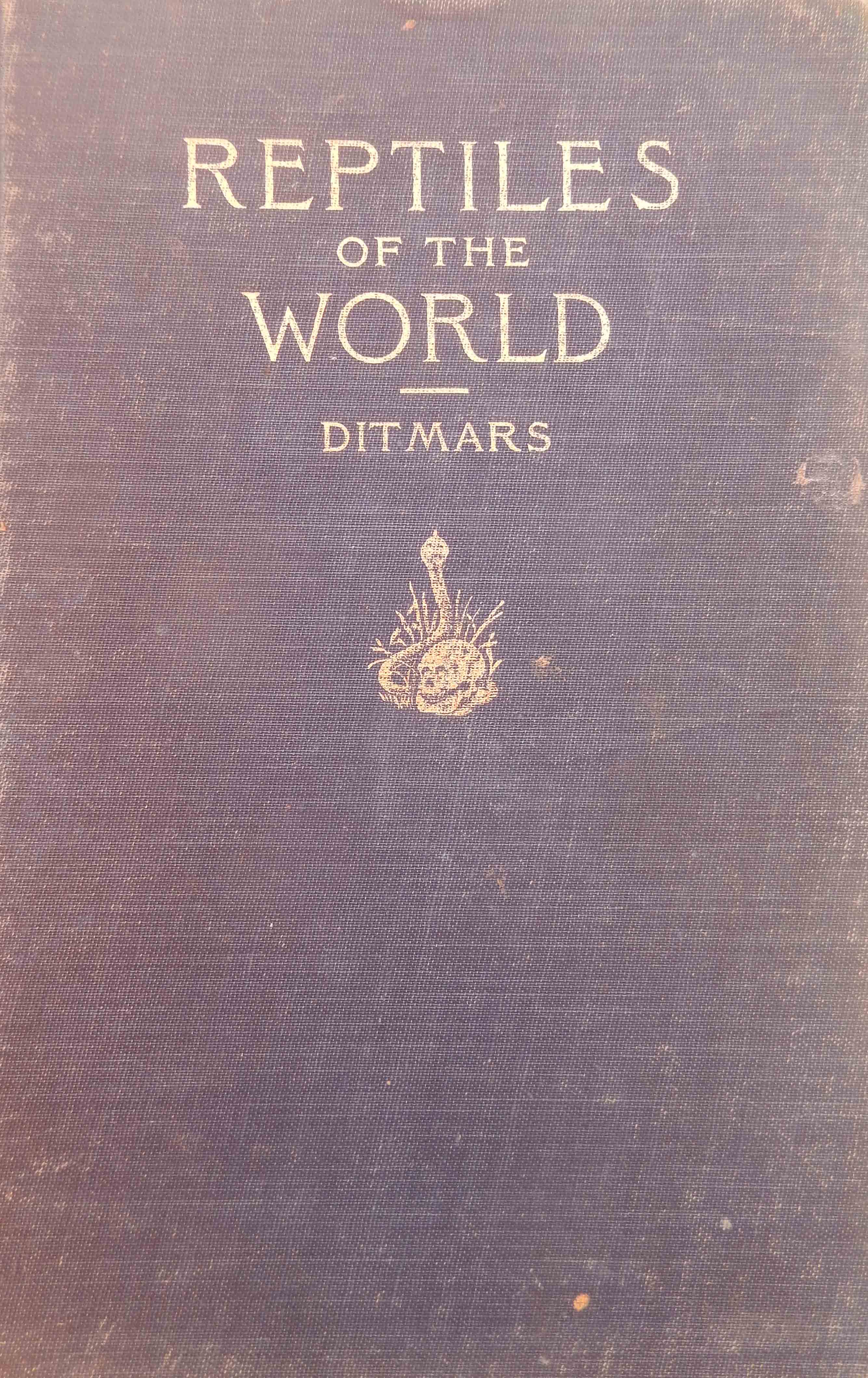 Image for Reptiles of the World,